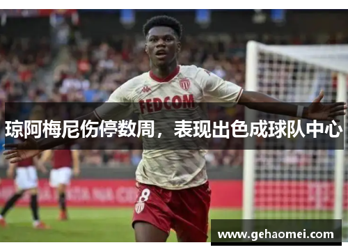 琼阿梅尼伤停数周，表现出色成球队中心